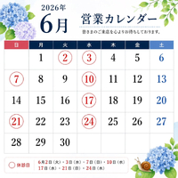 画像245