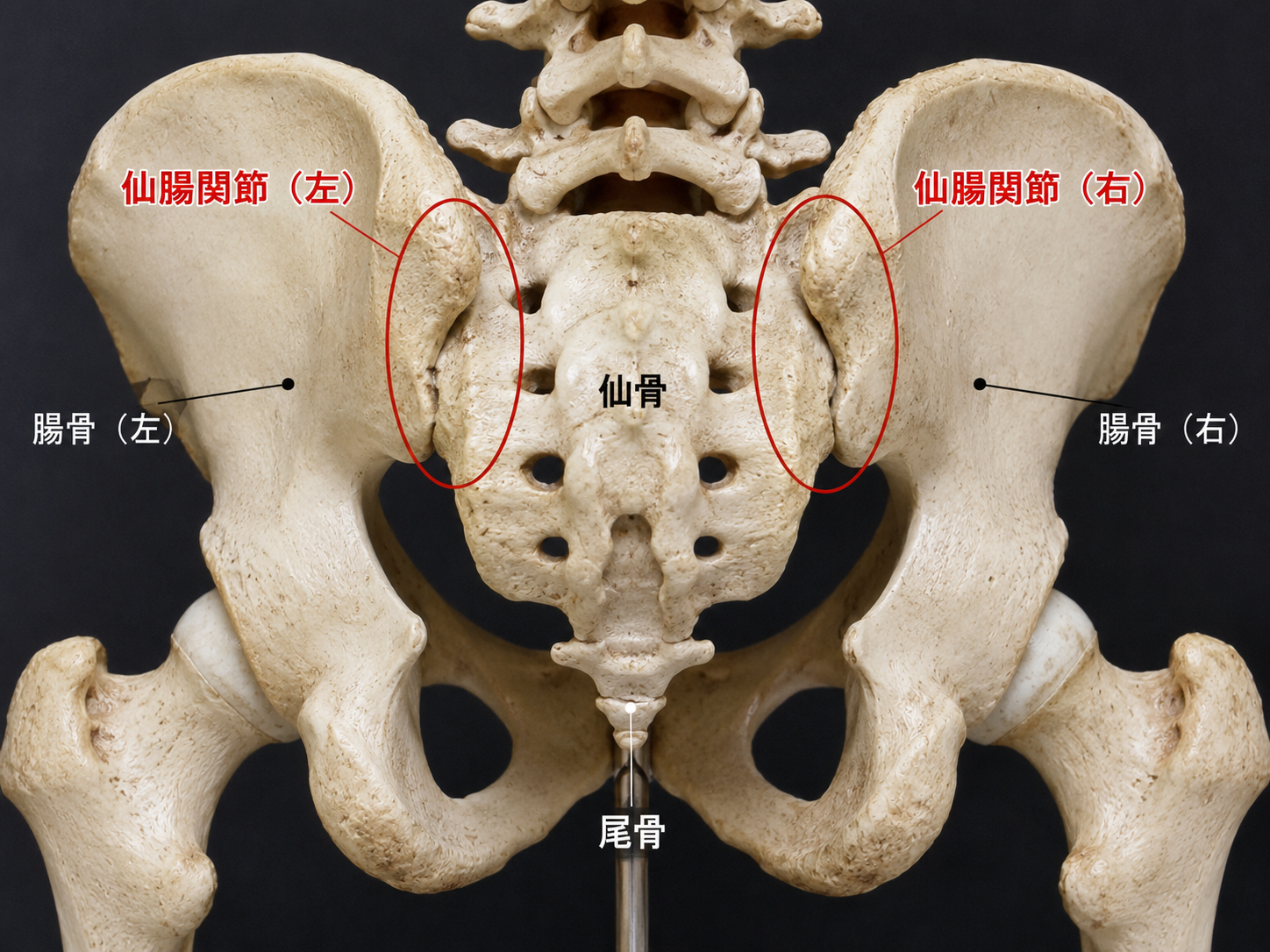 実績と患者様の声