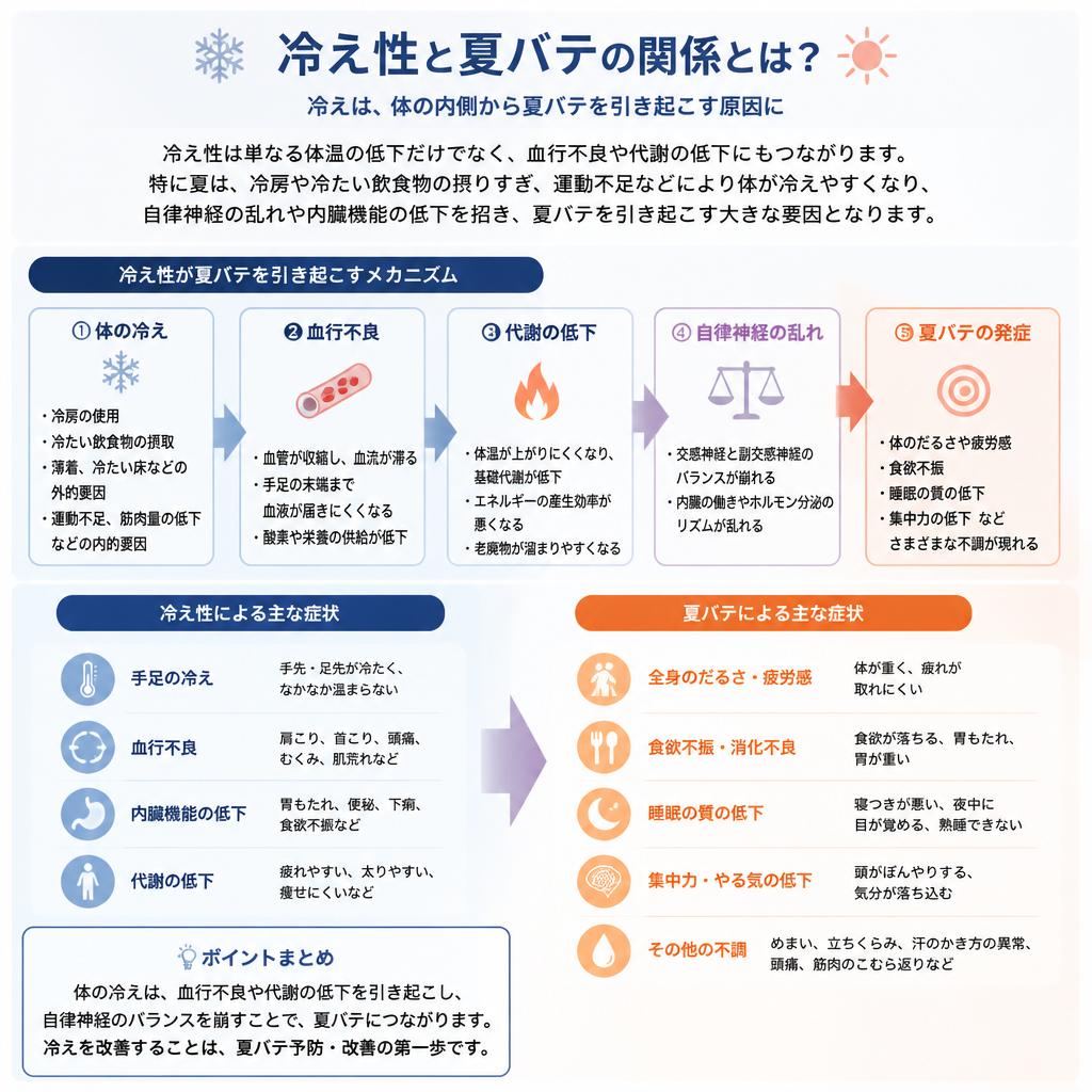 冷え性と夏バテの関係